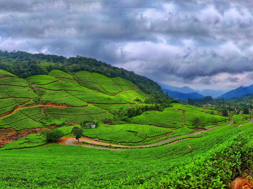 Safari Gallery Image 10