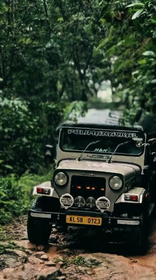 Safari Gallery Image 2