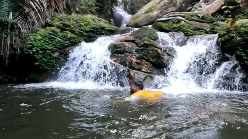 Safari Gallery Image 3