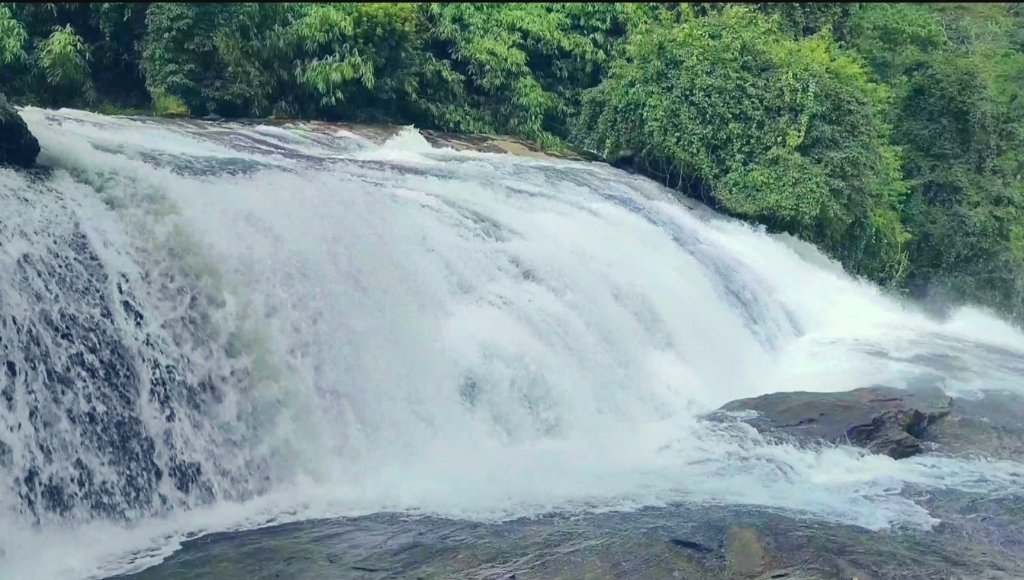 Safari Gallery Image 5