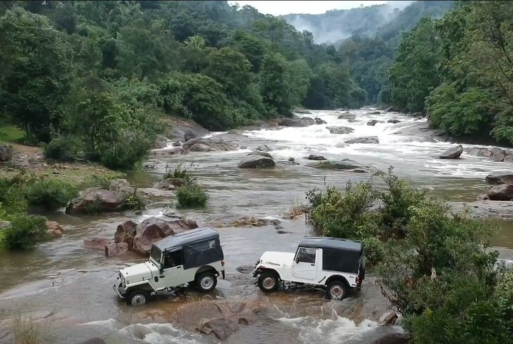 Safari Gallery Image 6