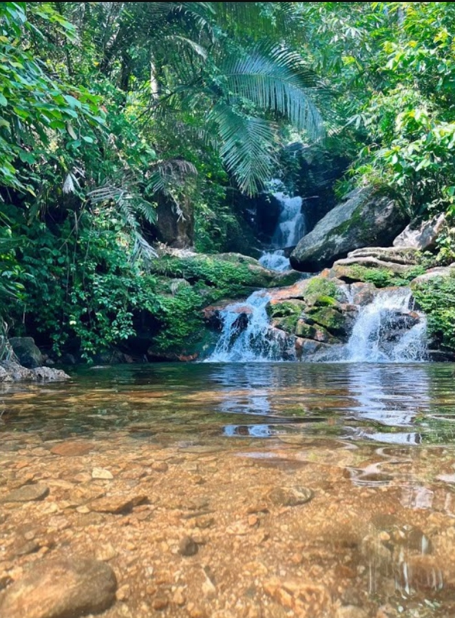 Safari Gallery Image 7