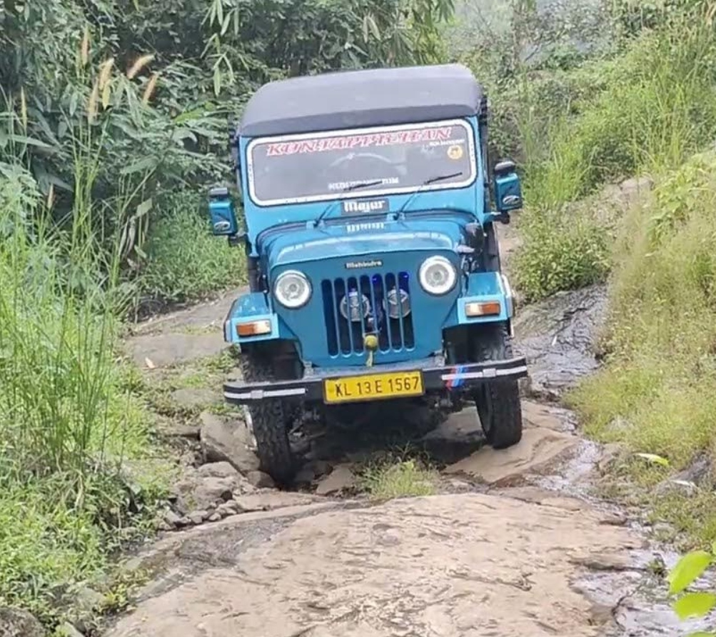 Safari Gallery Image 9